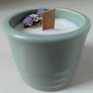 Vela natural - Aloe vera